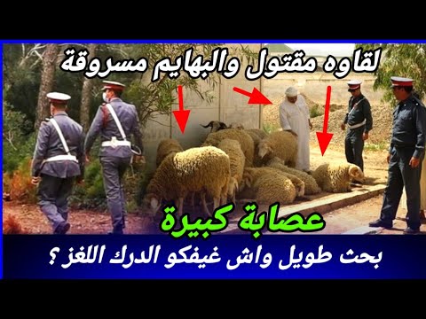 قضية كان فيها بحث طويل وماعرفوش شكون صفاها ليه لكن كيفاش حصل تحريات قصص بوليسية واقعية مغربية