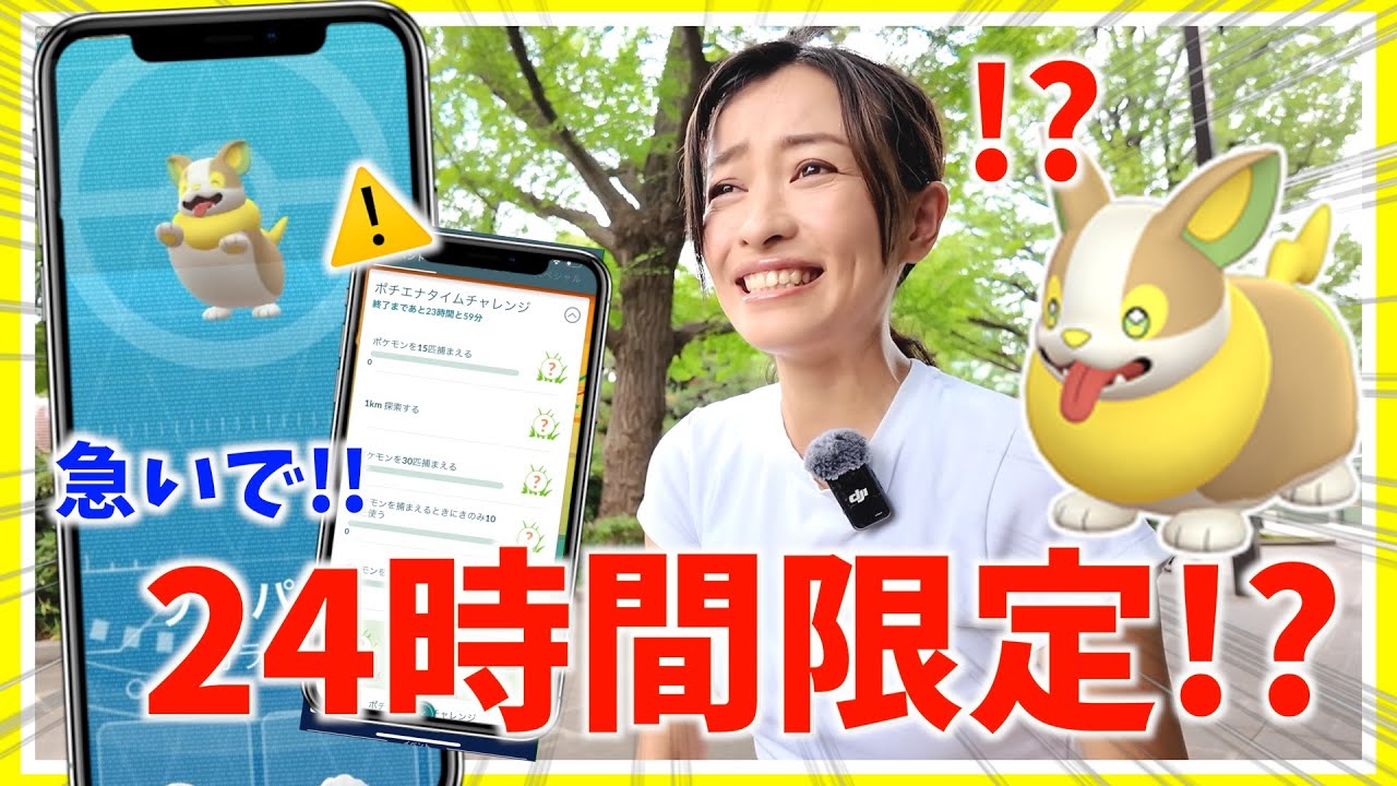 Hurry! It'll be gone in 24 hours!? First day report from