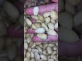 Explore اكسبلور سبحان الله تاريخ سنن مهجورة قصص Makkah صبرو Food بروشيط Explore اكسبلور سبحان الله تاريخ سنن مهجورة قصص Makkah صبرو Food بروشيط