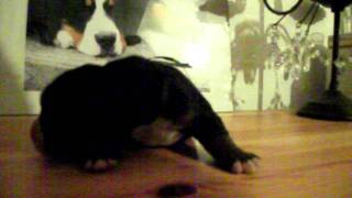 DSCF9734.AVI