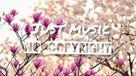 Amine Maxwell - Amelia -(no copyright just music)