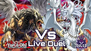 Yu-Gi-Oh!!  Chimera Vs Branded Despia Live Duel Amazing Discoveries Locals!!