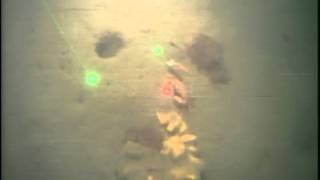 11015_Station_319