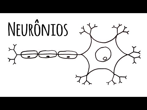 Vídeo: Diferença Entre Néfron E Neurônio