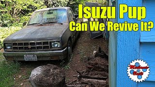 Isuzu Pup Diesel, Can We Revive It??? Part 1