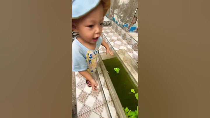 Câu cá về cho bà nấu canh chua #tiktok #tiktokfunny #shots #haihuoc#vuinhon #cauca