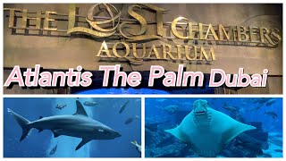 The lost chambers aquarium in atlantis ...
