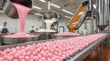 How Marshmallows Are Made in a Factory | Marshmallow Production Process