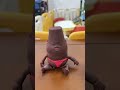 Who stole the dragon fruit? Amatras Sasuke Magic Pill 90 with a baby Cute baby