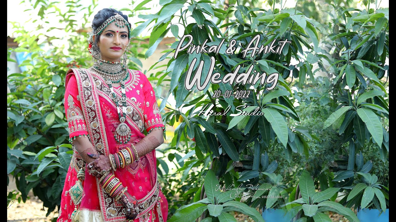 BEST WEDDING HIGHTLIGHT I PINKAL + ANKIT I HIRAL STUDIO I MAHENDRA_BHIMANI_PHOTOGRAPY I