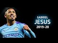 Gabriel Jesus 2019 20 Best Skills Goals Gabriel Jesus 2019 20 Best Skills Goals