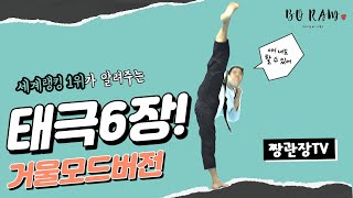 [태극6장 거울모드 Taegeuk 6 mirror mode] 태권도품새 쉽게 보고 배우기!!! 동작이름 구령 (교육용)  #poomsae #품새