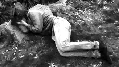 Behavioral Synthesis