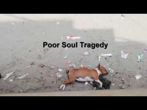 Poor Soul Tragedy