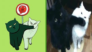 Try Not To Laugh 🤣 New Funny Cats Video 😹