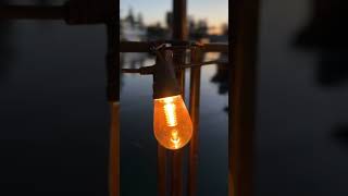 Chelseas Backyard Makeover with Cync 💡 #cync #outdoorlighting