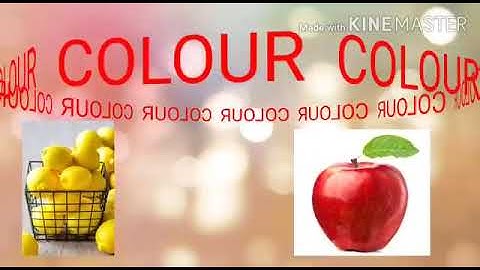 MLZS JHANSI CLASS 3 EVS Chapter 14 Solid Liquid Gases Lecture 1