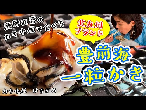 【北九州】カキ小屋はちがめで『豊前海一粒カキ』を思い切り食べよう！/取材メシ