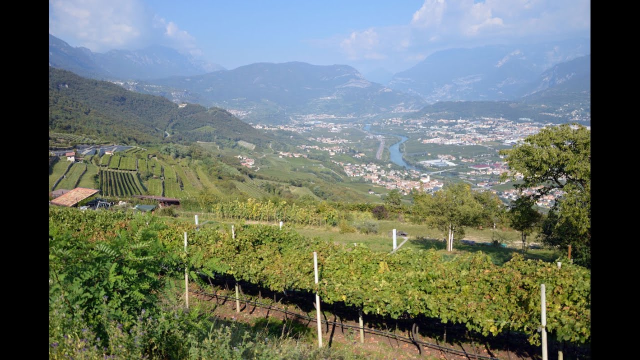 VIAGGIO LUNGO LA VALLAGARINA ALLA SCOPERTA DEL MARZEMINO