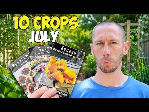 10 Crops You'd Be Foolish Not to Plant in July