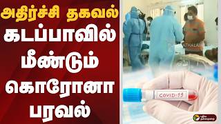 அதிர்ச்சி தகவல் .. கடப்பாவில் மீண்டும் கொரோனா பரவல் | Andhra | Corona Virus