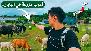 أغرب مزرعة في اليابان! 😱 داخل أروع مكان في الريف الياباني!🇯🇵 أغرب مزرعة في اليابان! 😱 داخل أروع مكان في الريف الياباني!🇯🇵