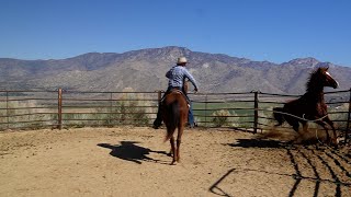 Restarting a Horse with No Name by Pat & Deb Puckett 33,698 views 3 months ago 25 minutes