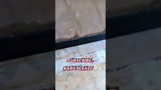 গ্রানাইট স্কেটিং,,…#granite #cascading #design #marvel