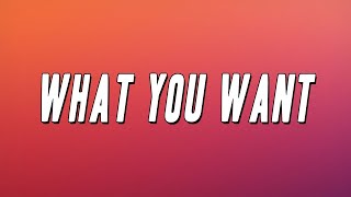 Switch Disco - What You Want (Lyrics)