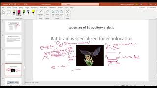Auditory Scene Analysis   2