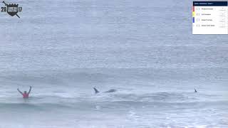Killer Whales Join Surfers at the 2017 Lofoten Masters