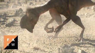 Citipati | Making-of (2016)