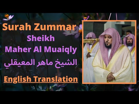 Surah Zumar Maher Al Muaiqly Arabic And English Translation