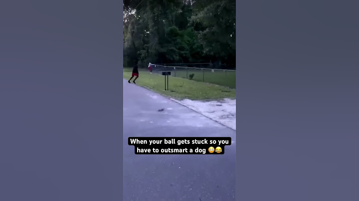 They all worked together to get their ball back 👀👏 #shorts