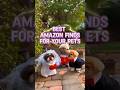 Best Amazon finds for #pets #shorts #productreview