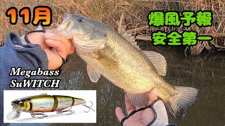 [バス釣り] 2022.11.13 megabass SuWITCH この動き好きです❣️