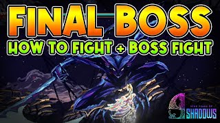9 YEARS OF SHADOW How to Fight Final Boss + Ending