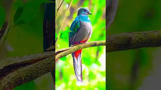 EARTH'S MOST BEAUTIFUL 4K VIDEOS #HDR #TRAVEL #NATURE