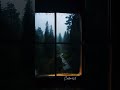 Cabin window ambience - relax calm with rain sound  #rain #relax #cabin