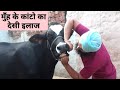 गाय भैंस के मुँह के कांटो व अधिक लार गिरने का घरेलू उपाय | Mouth disease cows| munh desi ilaj