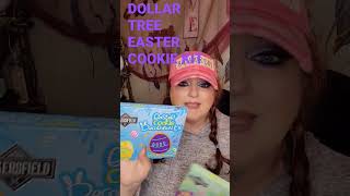 DOLLAR TREE EASTER COOKIE KITS