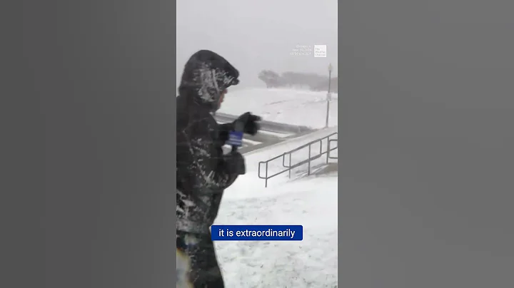 Lake-Effect Snow Whiteouts Chicago Skyline