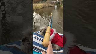 How to steer a Narrowboat 🤔#electricnarrowboat #canal #narrowboat #llangollen #shorts #shropshire