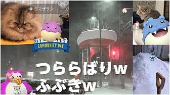 Nan Nan Back Skip Navigation Search Search Sign In Play All ポケモンgo Pokemon Go 動画いろいろ 1 158 Videos 9 7 Views Last Updated On Jan 17 22 カビゴンゆかりgameちゃんねる Pokemon Go ポケモンgo 関連の動画いろいろ