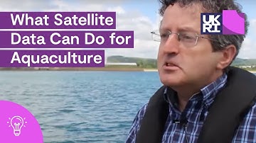 Protecting #Shellfish #Farms with the ShellEye Project: What #Satellite Data Can Do for #Aquaculture