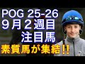 【POG/25−26】9月2週目デビューの注目新馬を紹介【3日間開催に素質馬・良血馬たちが集結‼️】