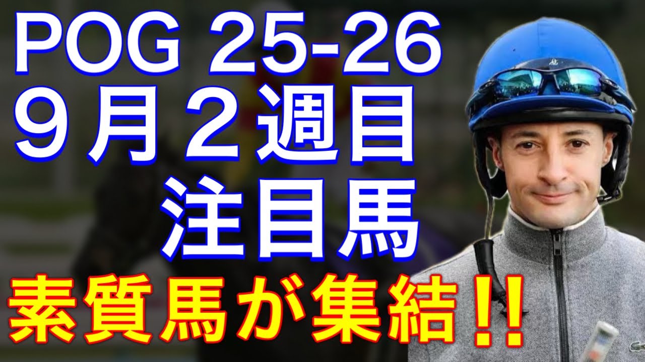 馬上手 POG/25-26] Introducing the notable new horses making their debut