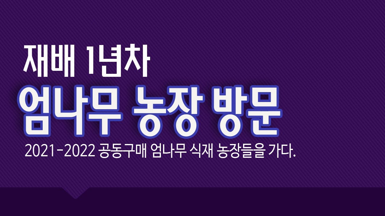 재배 1년차 엄나무 식재 농장들을 가다