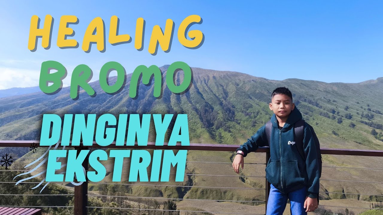 RAHASIA Healing di Ketinggian BROMO HILLSIDE: Ngopi dengan Panorama Penenang Jiwa