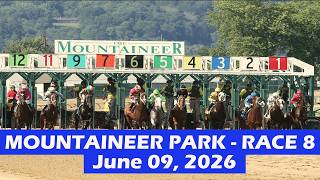 Mountaineer Park Race 8 - June 09, 2026 - Replay - Horse Race